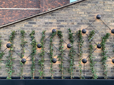 Italian design on London rooftops